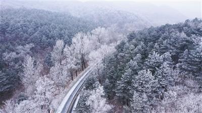 3金2银2铜!北京代表团十四冬花滑青年组收获颇丰